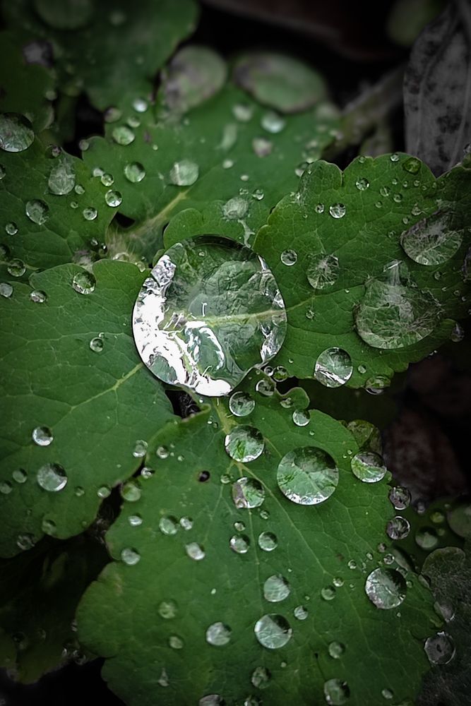 Photograph by Юлия Максимова