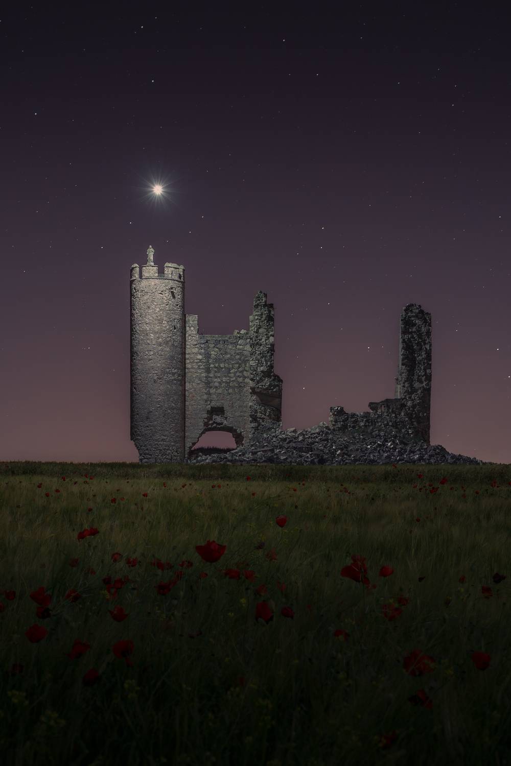 Ruins and Poppies