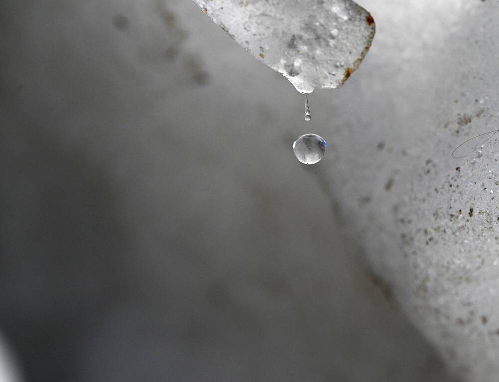 Photograph by Дмитрий Ткаченко