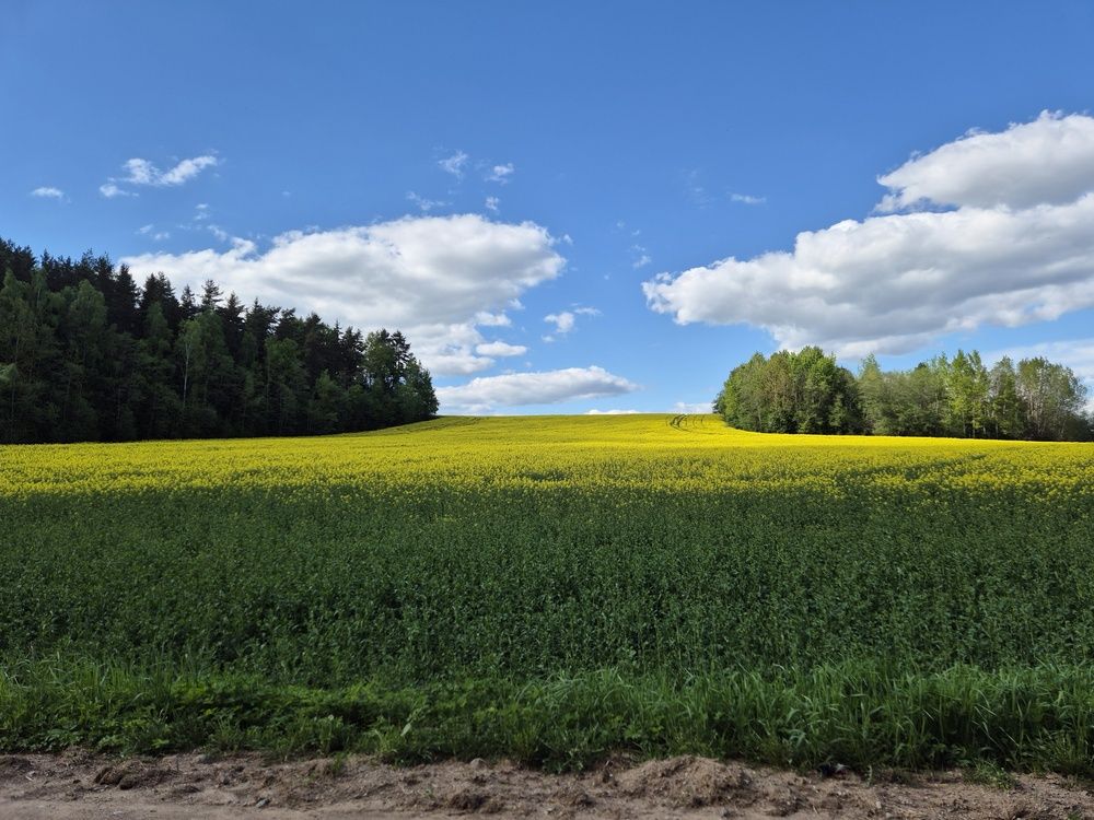 Photograph by Татьяна Вирясова
