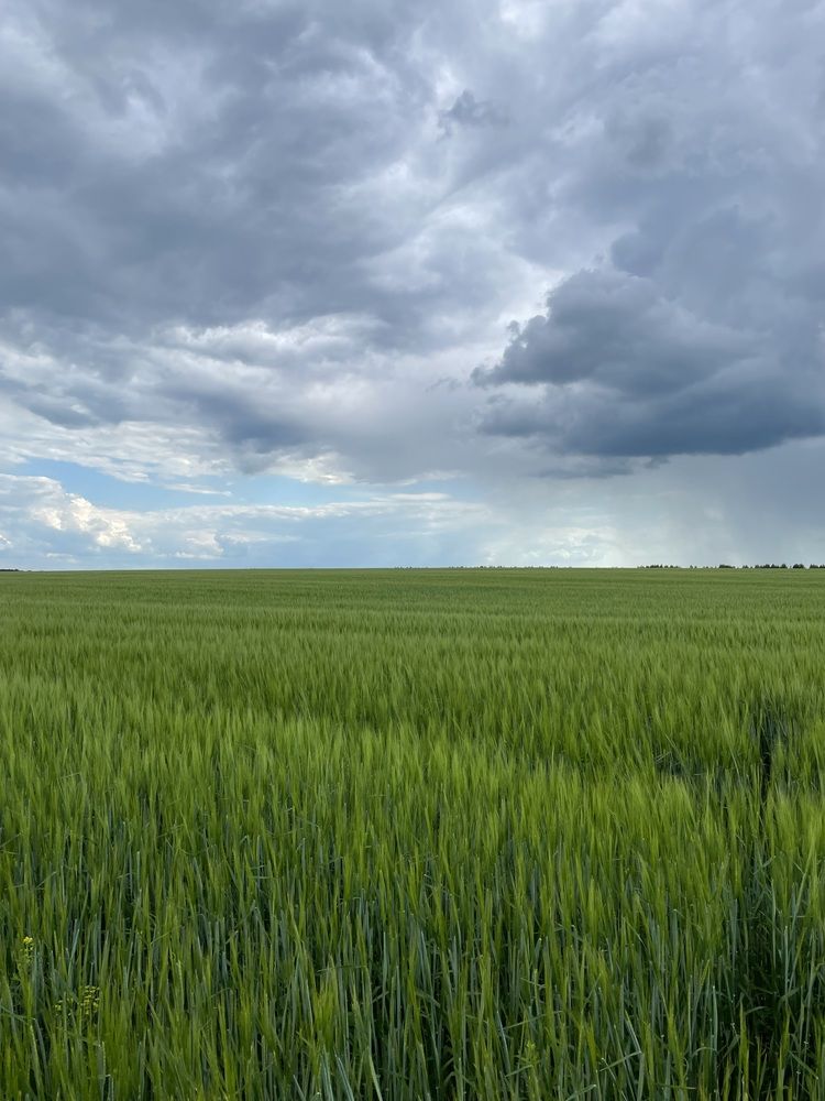 Photograph by Юлия Давшан
