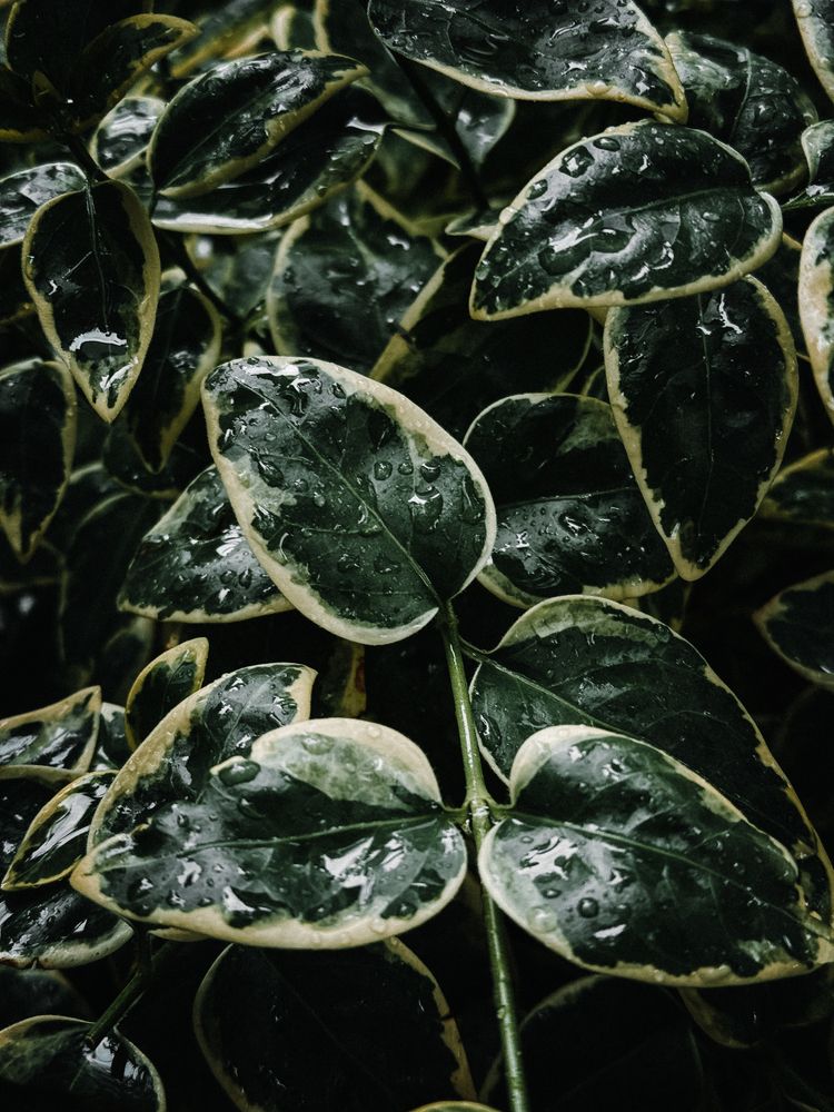 Photograph by Дарья Андреева