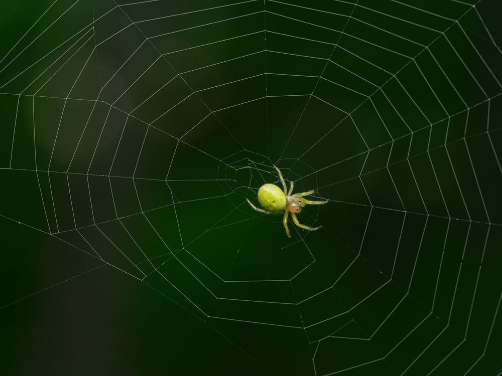 Photograph by Дмитрий Фетисов