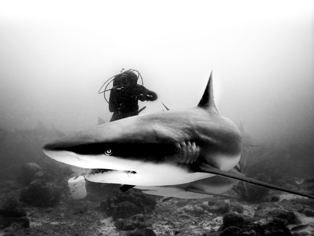 Photograph by Flavio Fonseca