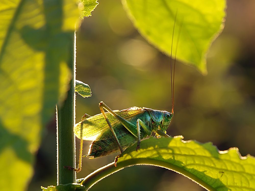 Photograph by Владимир Зиновьев