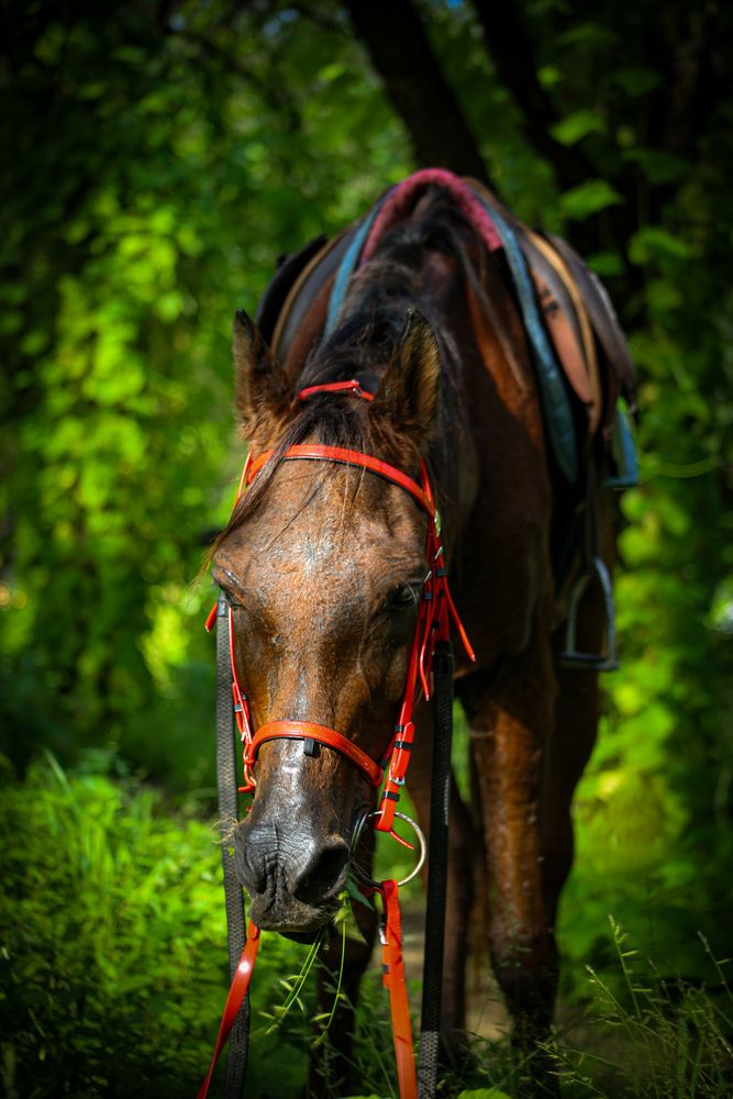 Фотография автора Ziad Rizwan