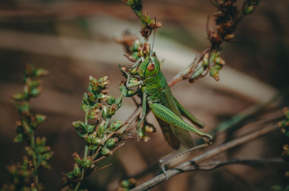 Photograph by Ольга Глущенко