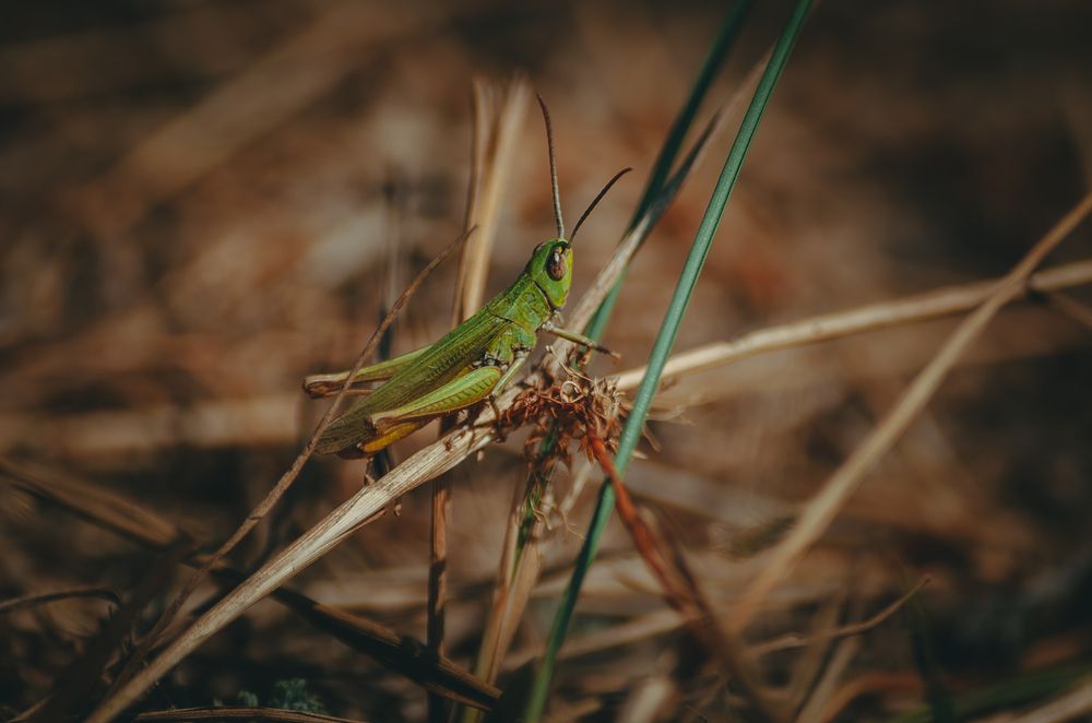 Photograph by Ольга Глущенко