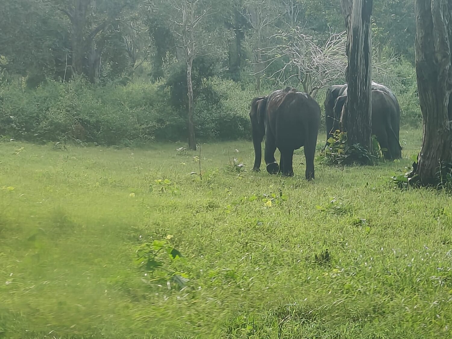 Photo #13631849