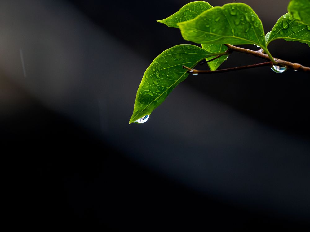 After the Rain