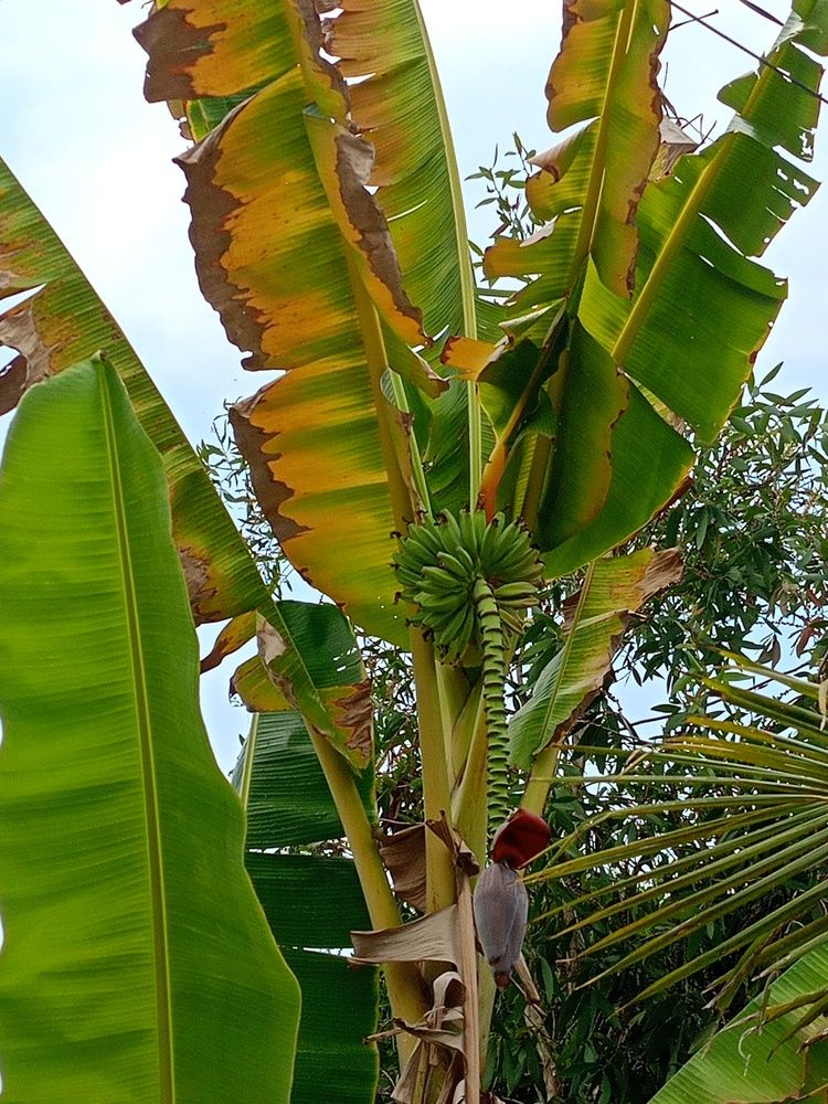 Photograph by Tân Trần Thanh