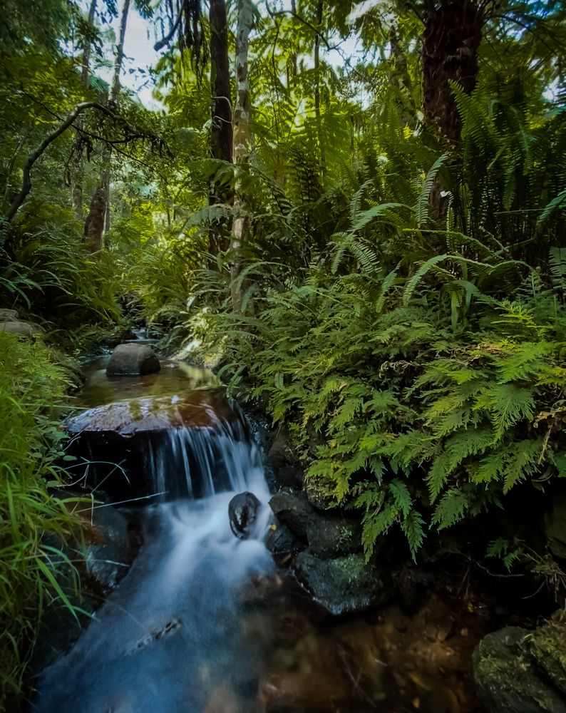 Photograph by Aravinda Senapathi