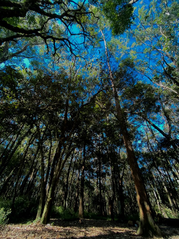 Photograph by Aravinda Senapathi