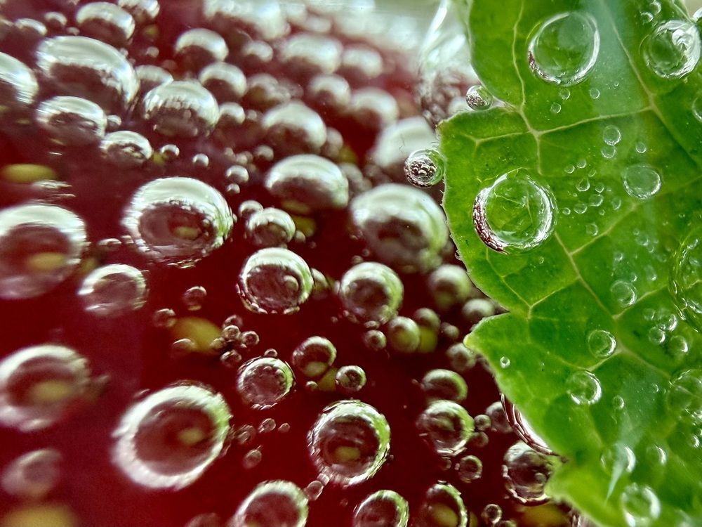 Photograph by Мария Якубовская