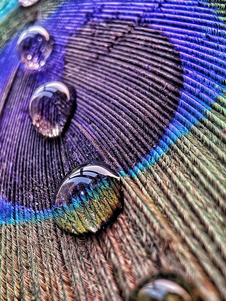 Photograph by Sahil Jadhav