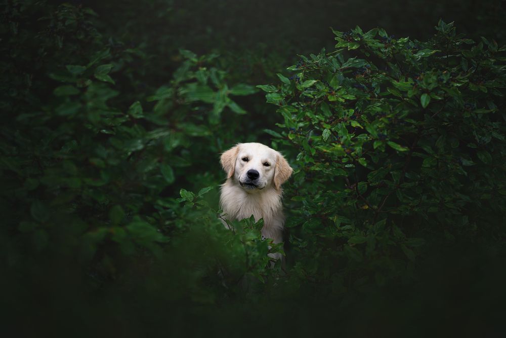 Photograph by Rut Casanellas