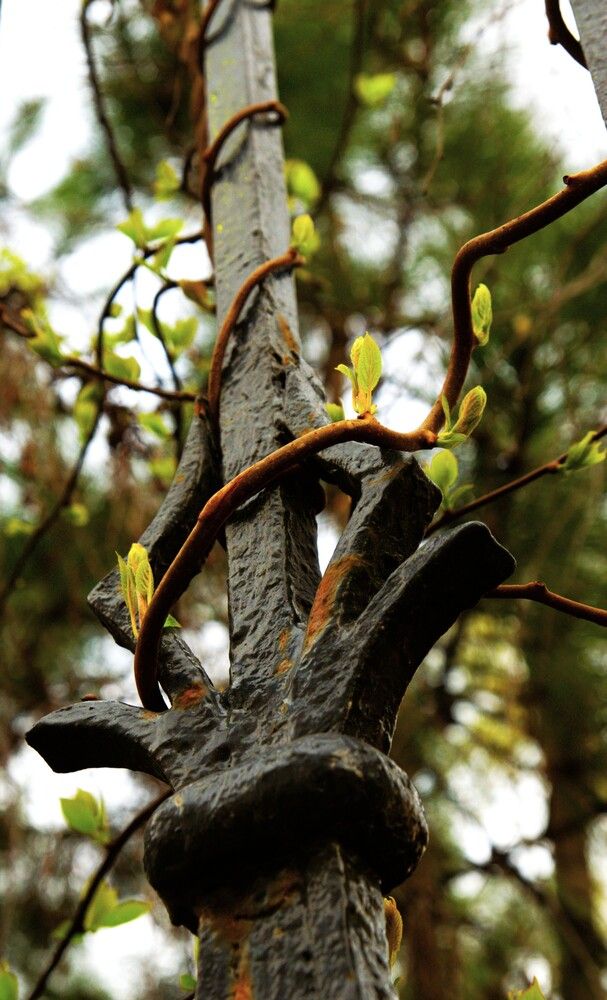 Photograph by Ольга Булавкина