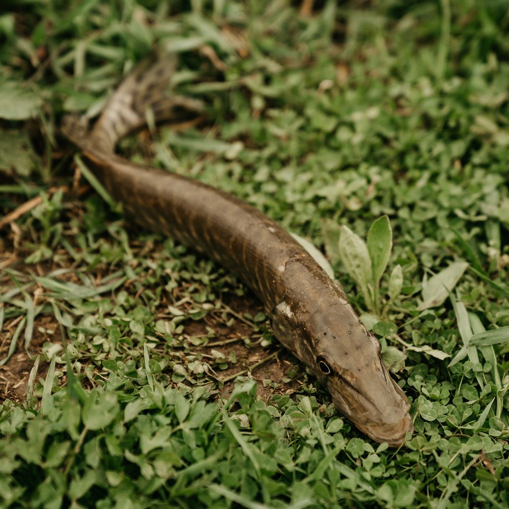 Photograph by Натали Захарова (Тай)