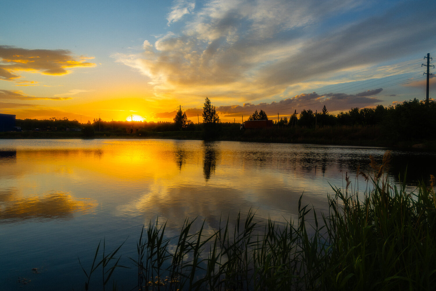 Photo #13632457