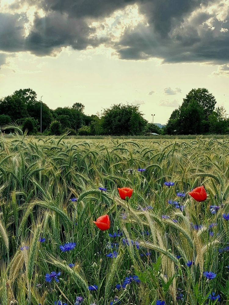 Photograph by Tatiana Nakonechnaya