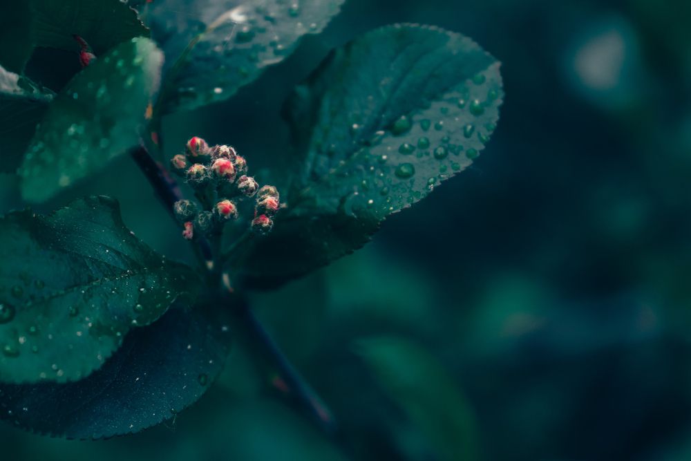 Photograph by Александра Петрова