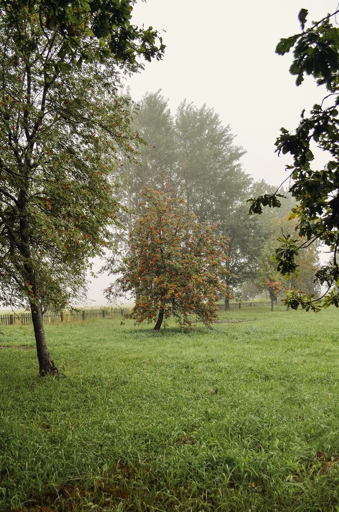 Photograph by Дарья Бышек