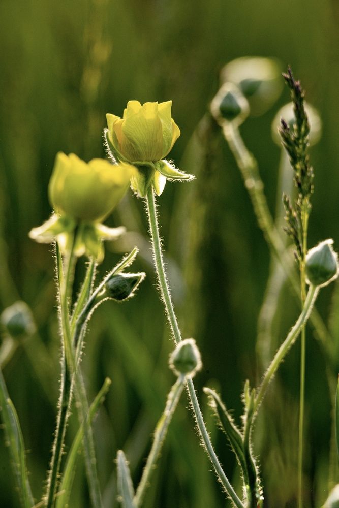 Photograph by Ирина Бабич