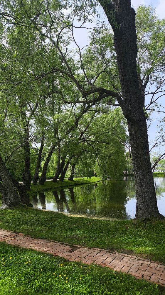 Photograph by Юлия Гусева