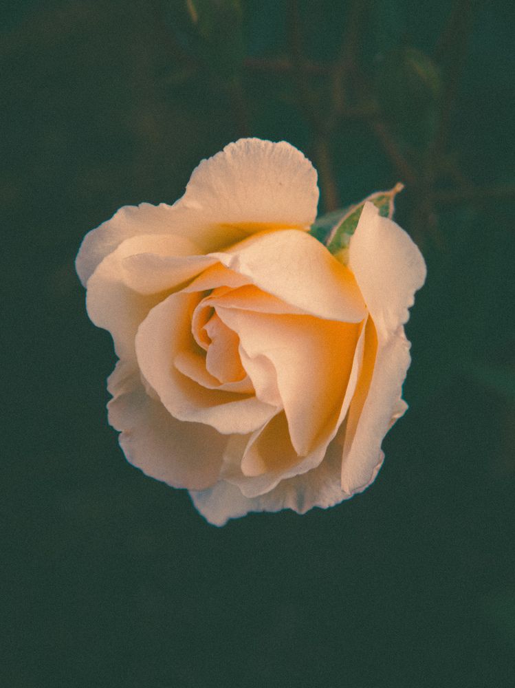 Photograph by Сергей Пыдык