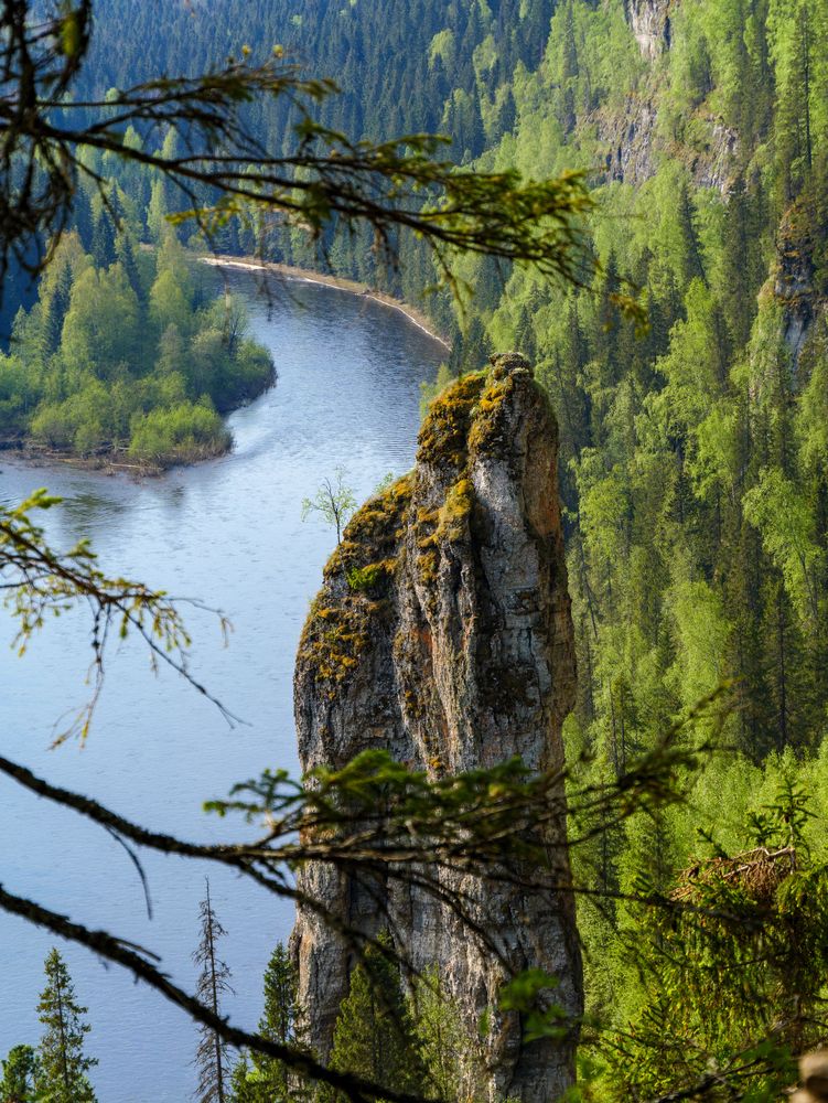 Photograph by Anton Y