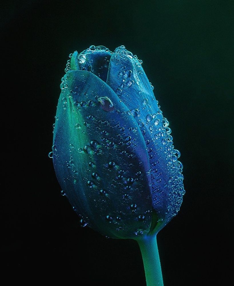 Photograph by Вера Владимирова