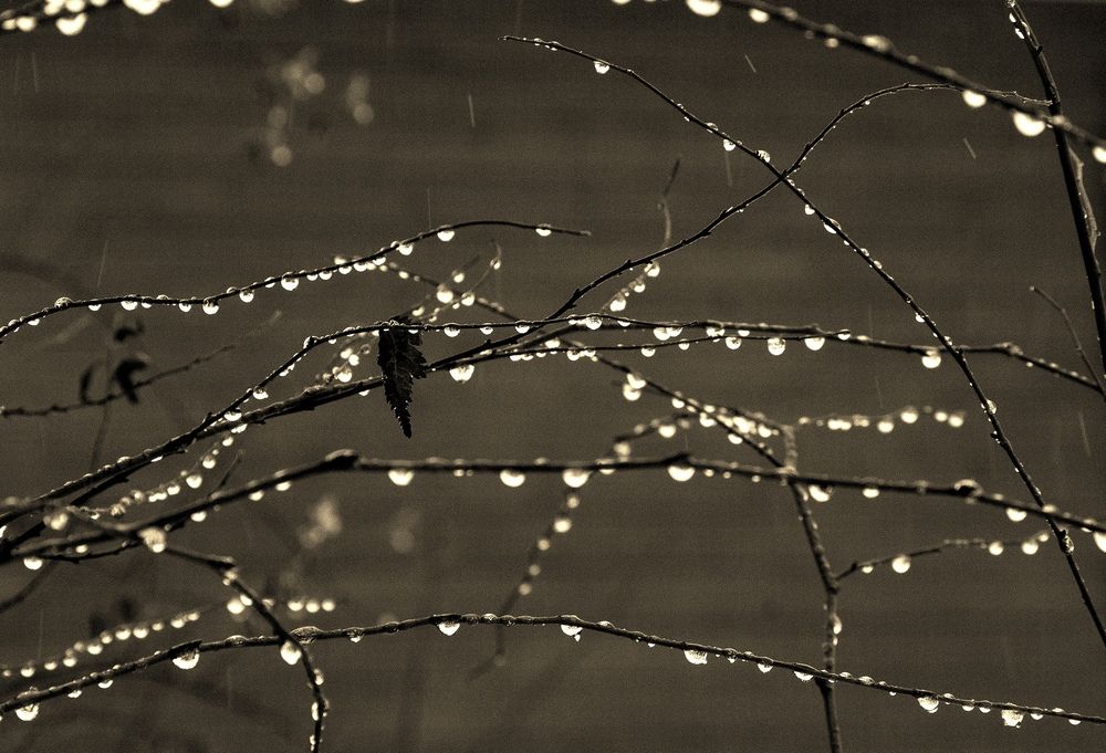 Photograph by Вера Владимирова
