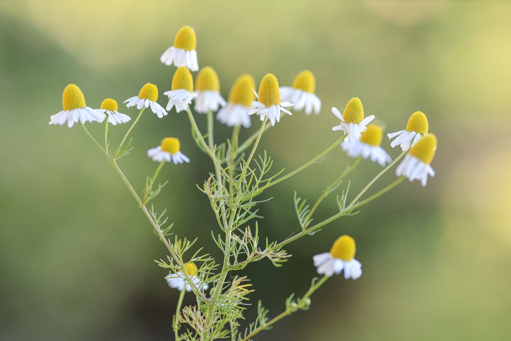 Photograph by Андрей Котенко