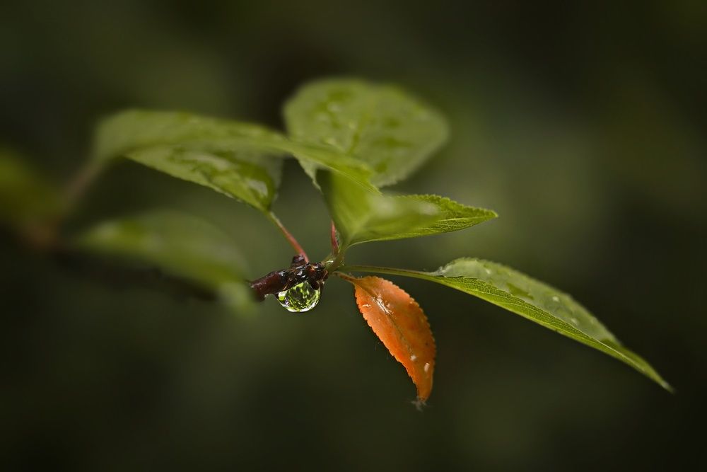 Photograph by Татьяна Бравая