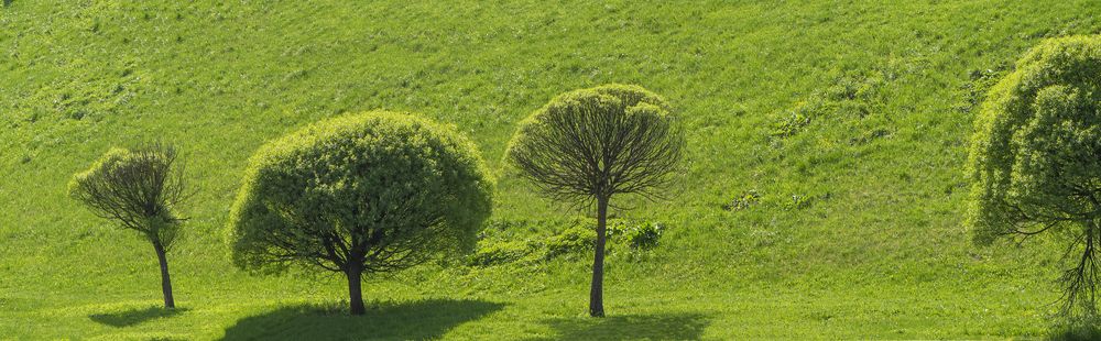 Photograph by Андрей Семенков