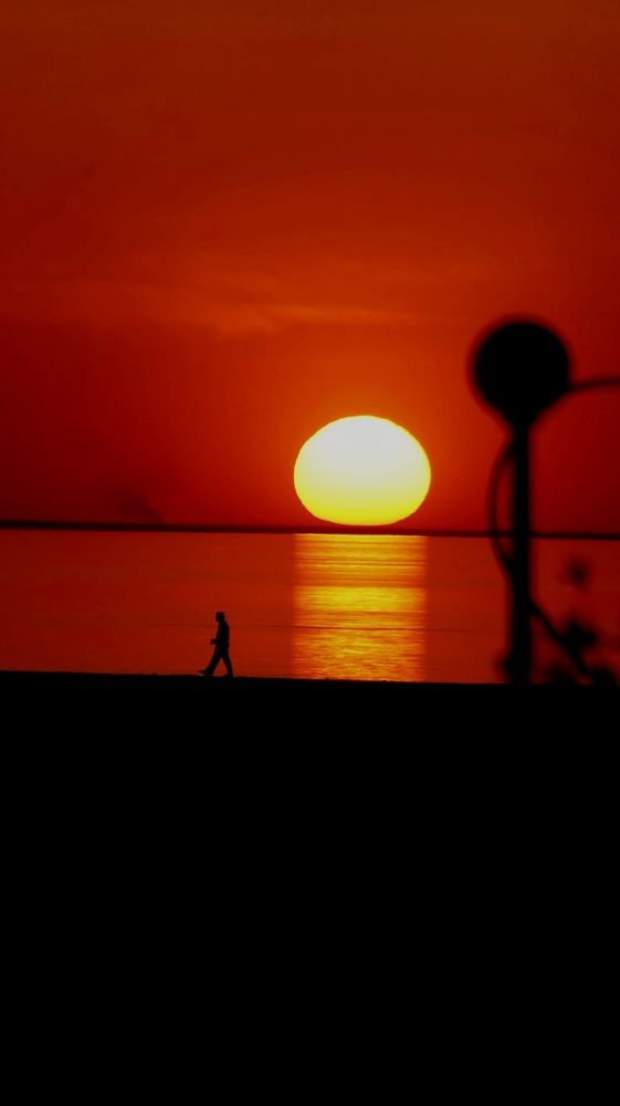 Photograph by Shaiban photography