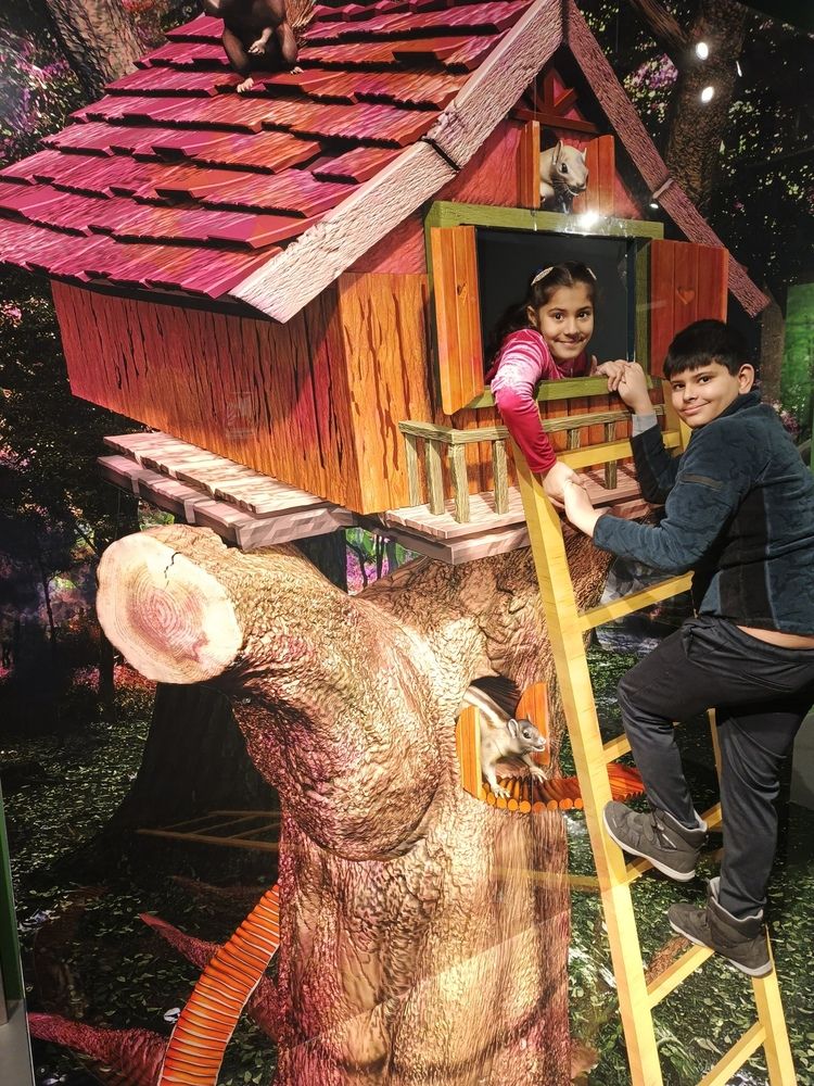 Children playing at tree house