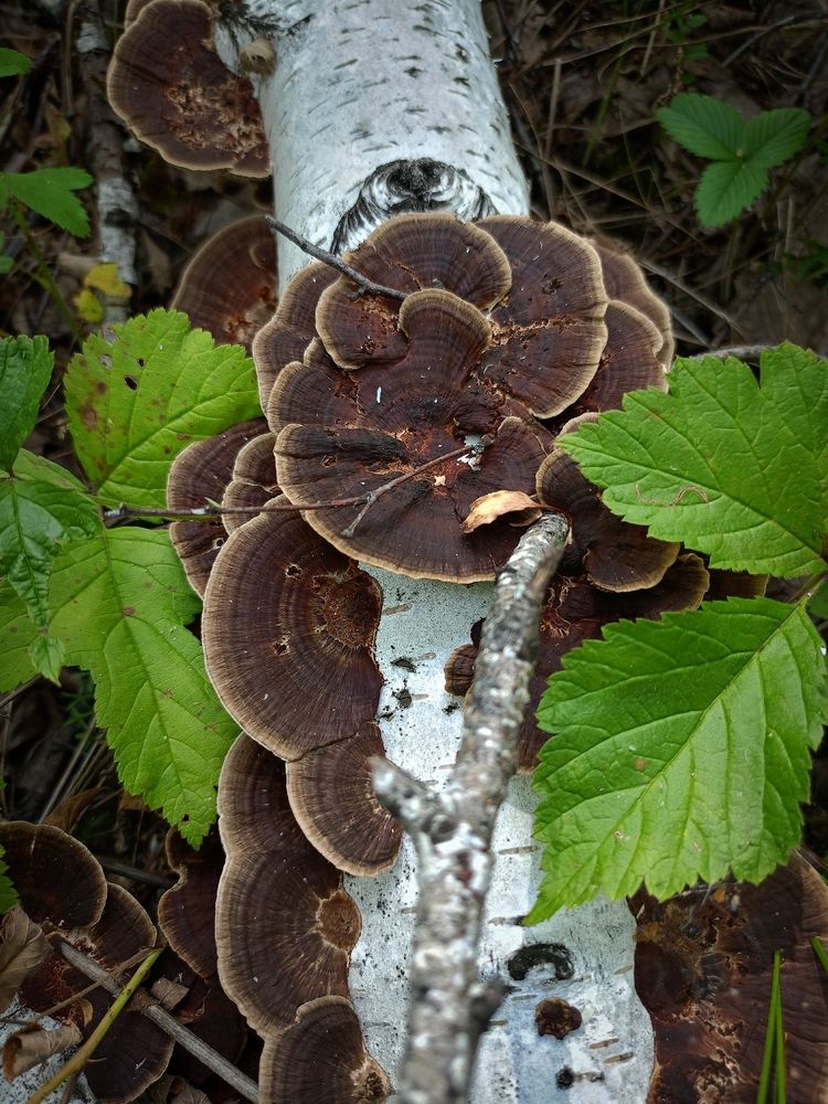Photograph by Елена Чернякова