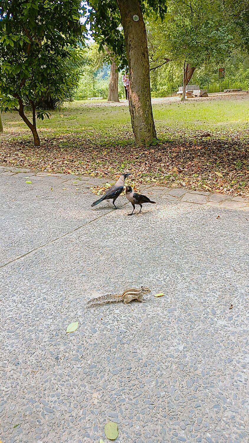 A Tender moment in the park
