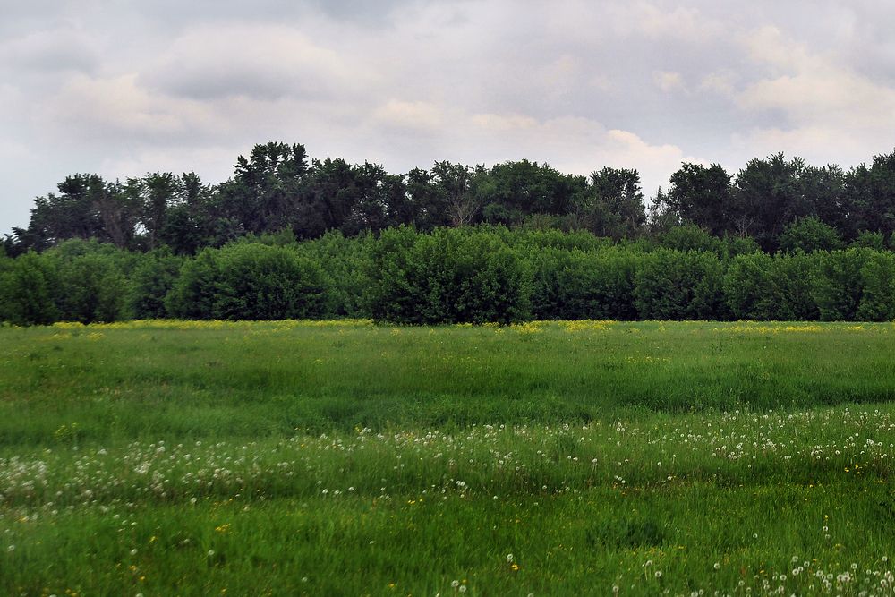 Photograph by Cергей Абакумов