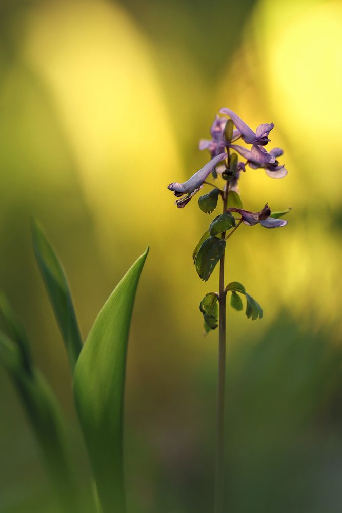 Photograph by Наталья Илюхина