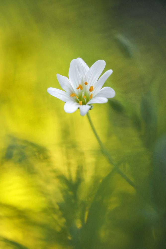 Photograph by Наталья Илюхина