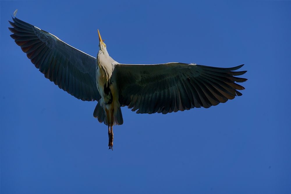 Photograph by Sergej Roor