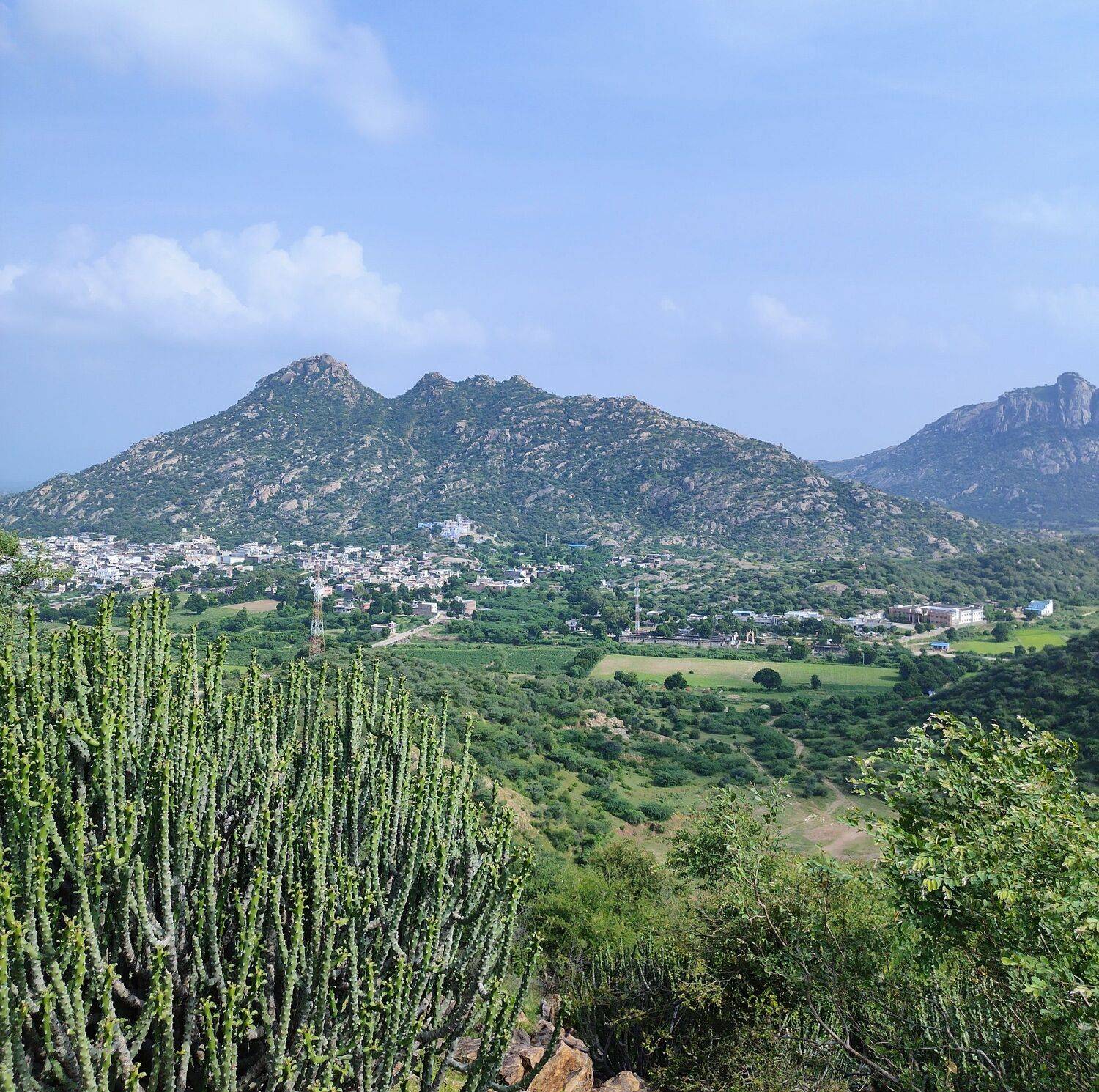 The Painterly Foothills Of Bisalpur