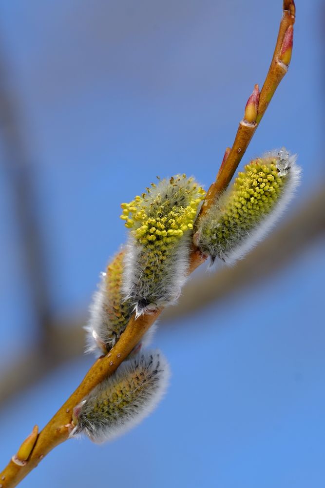 Photograph by Яна Бойко