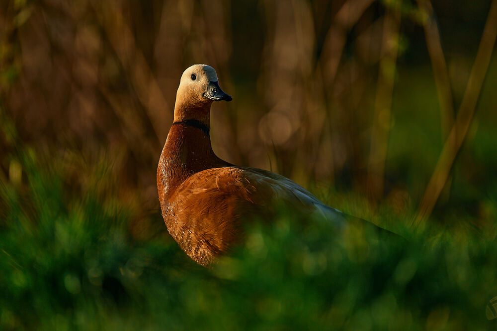 Photograph by Mikhail Khmelevskiy
