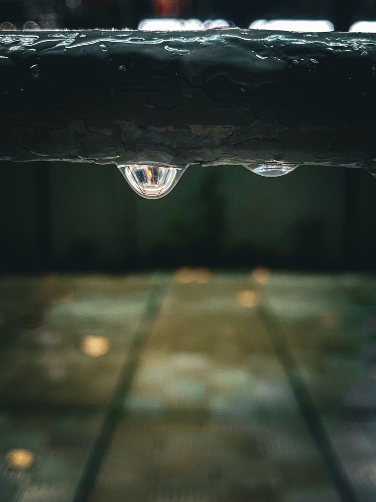 Photograph by Маргарита
