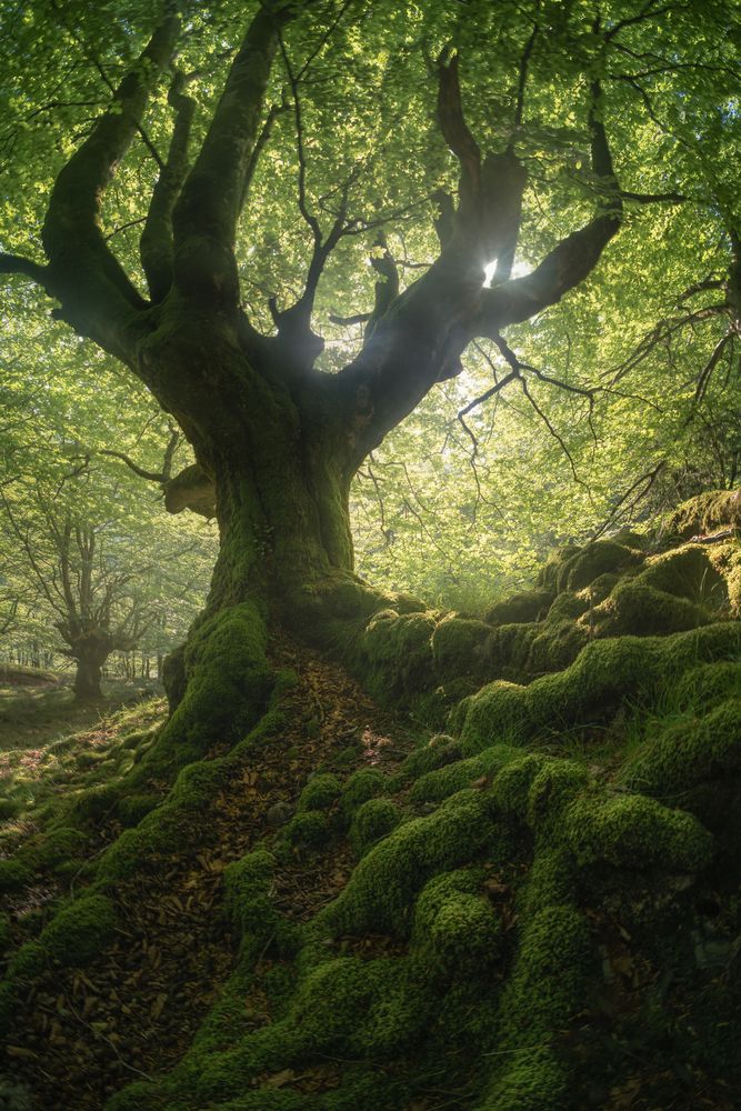 Photograph by david Navia
