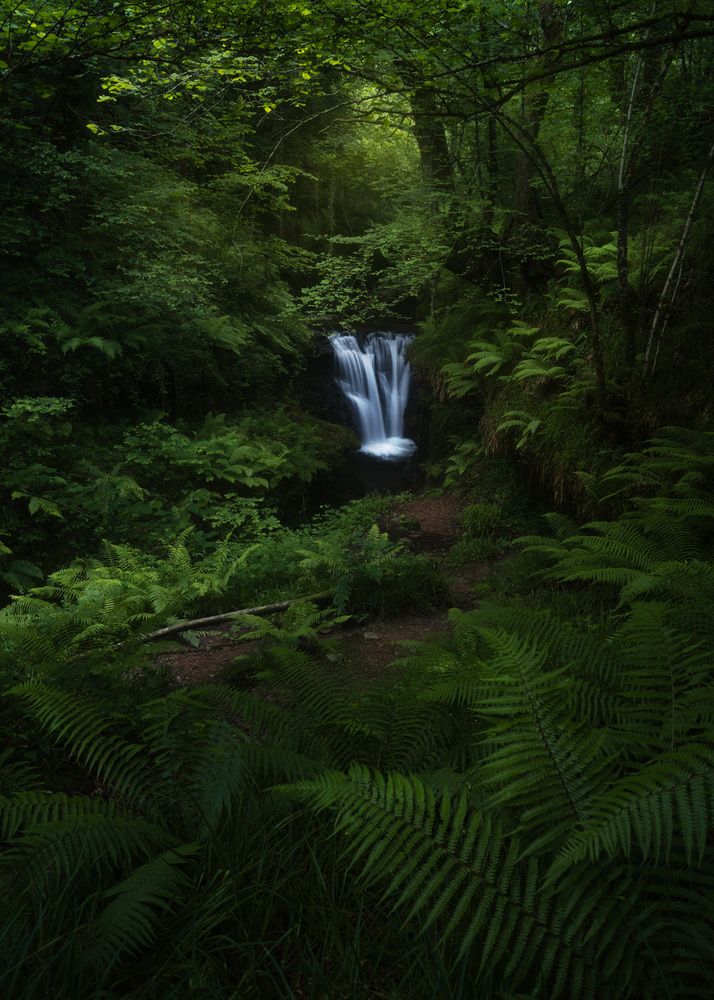 Photograph by david Navia
