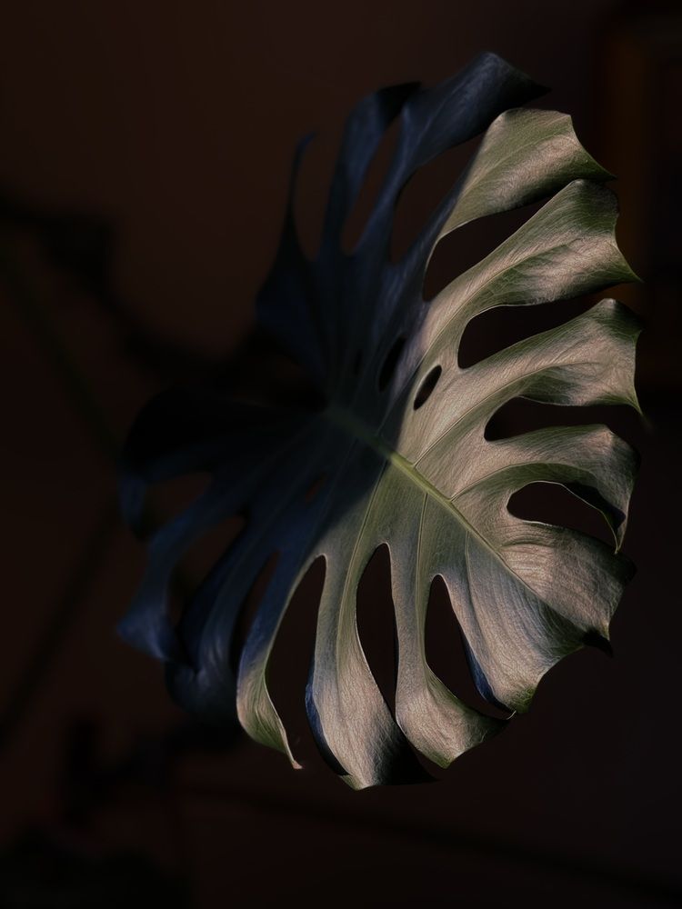Photograph by Pavlova Maria